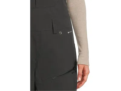 Flylow Sphynx Bib In Gray