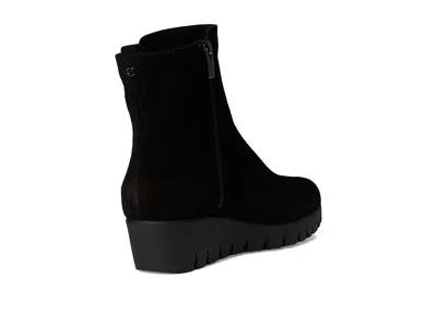 La Canadienne Teagan In Black