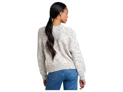 Toad And Co Twigtree Crew Sweater In Brown