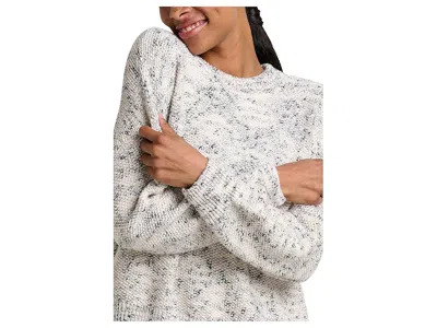 Toad And Co Twigtree Crew Sweater In Brown