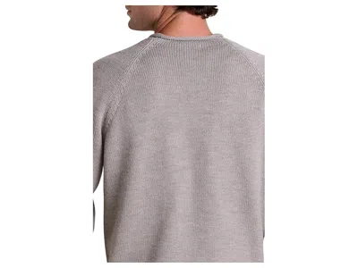 Toad And Co Alpineglo Sweater In Brown