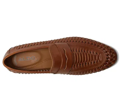 Aldo Danilo In Brown