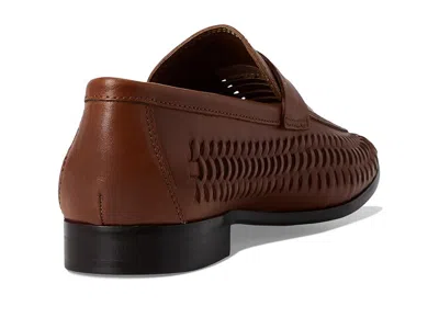 Aldo Danilo In Brown