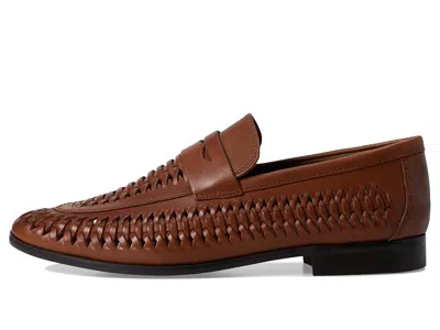 Aldo Danilo In Brown