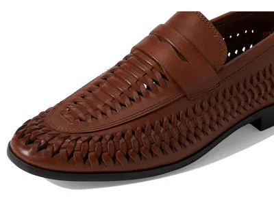 Aldo Danilo In Brown