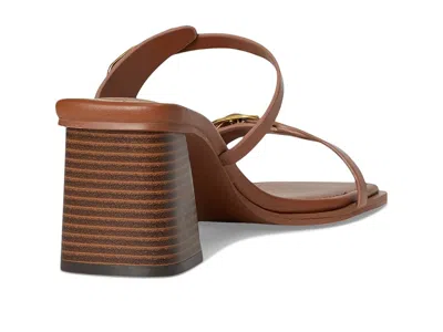 Aldo Maymay In Brown