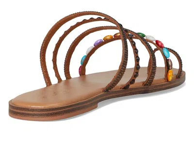 Aldo Lindya In Multi