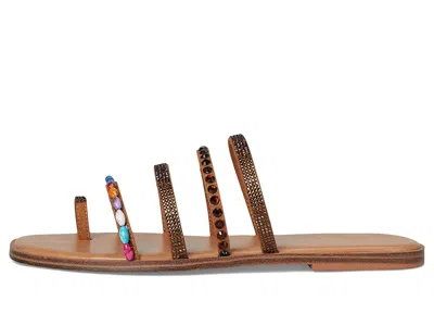 Aldo Lindya In Multi