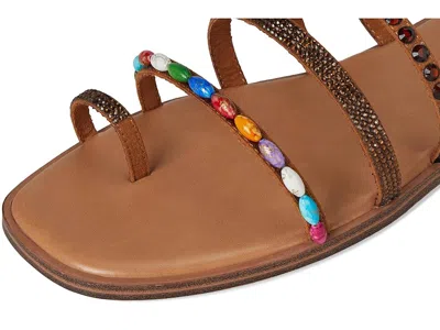 Aldo Lindya In Multi