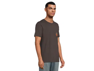 Ariat Eagle Large T-shirt In Brown