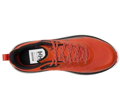 Helly Hansen Stega Ht In Multi