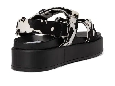 Steve Madden Bigmona In Multi