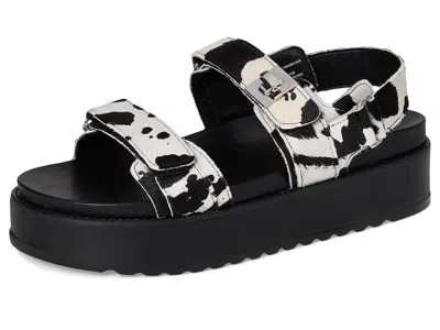 Steve Madden Bigmona In Multi
