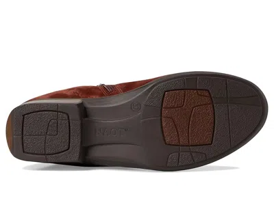 Naot Helm In Brown