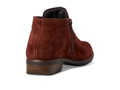 Naot Helm In Brown