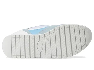 Naot Collins Sneaker In Blue