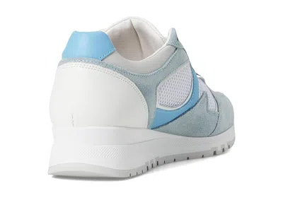 Naot Collins Sneaker In Blue
