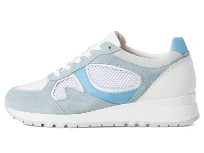 Naot Collins Sneaker In Blue