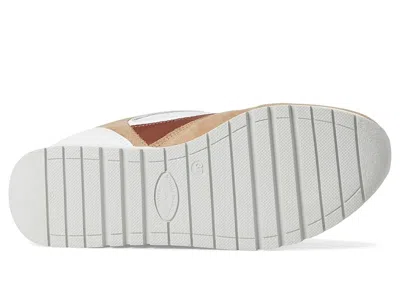 Naot Collins Sneaker In Multi