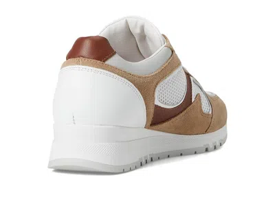 Naot Collins Sneaker In Multi