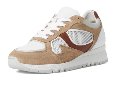 Naot Collins Sneaker In Multi