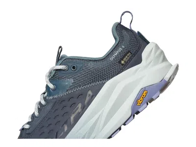 Altra Olympus 6 Hike Low Gtx In Multi