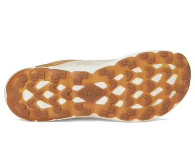 Merrell Antora 4 Waterproof In Brown
