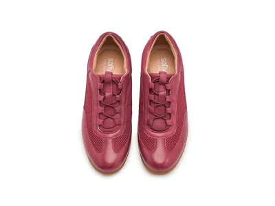 Softwalk Darby Slipon Sneaker In Multi