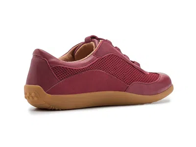 Softwalk Darby Slipon Sneaker In Multi