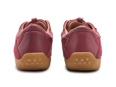 Softwalk Darby Slipon Sneaker In Multi