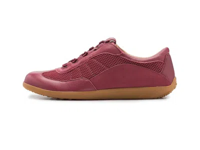 Softwalk Darby Slipon Sneaker In Multi