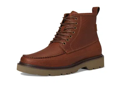 Steve Madden Daviston In Brown