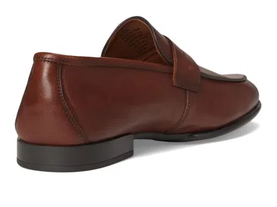 Steve Madden Boca In Brown