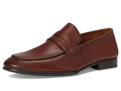Steve Madden Boca In Brown