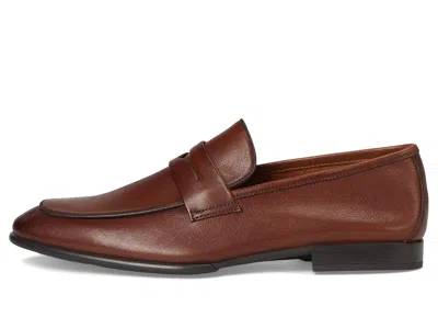 Steve Madden Boca In Brown
