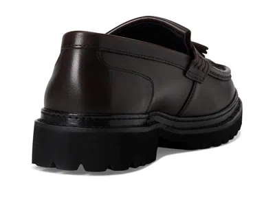 Steve Madden Ashford In Brown