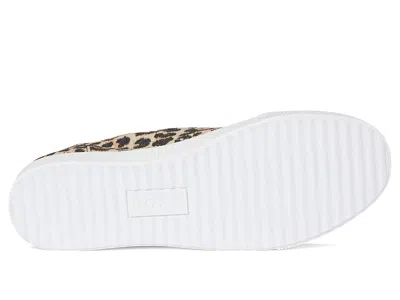 Roxy Shorebreak In Multi