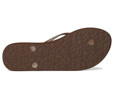 Roxy Antilles Ii In Brown