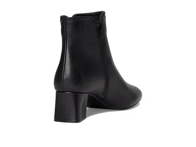 Vaneli Zoey In Black