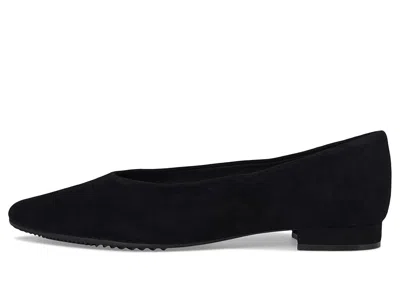 Vaneli Gracie In Black