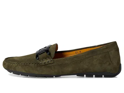 Vaneli Aiker In Brown