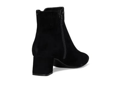 Vaneli Zoey In Black