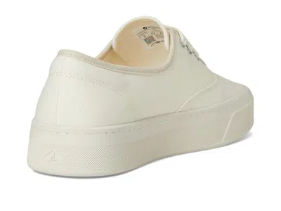 Sperry Candy Cvo In Brown