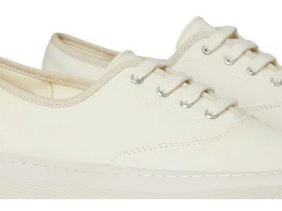 Sperry Candy Cvo In Brown