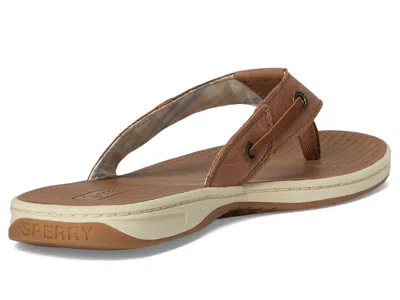 Sperry Seafish In Brown
