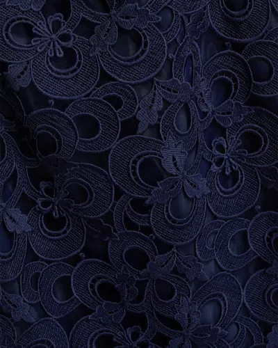 Milly Molly Lace Gown Maxi Dress In Blue