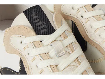 Söfft Kat In Multi