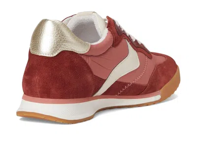 Söfft Kat Sneaker In Brown