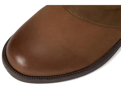 David Tate Spectacular In Brown