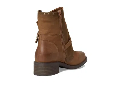 David Tate Spectacular In Brown